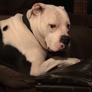 Meet your Posher, Shelly